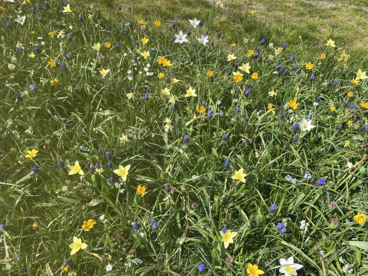 Zaterdag: 1746x bekeken +Top 10 meest gelezen berichten