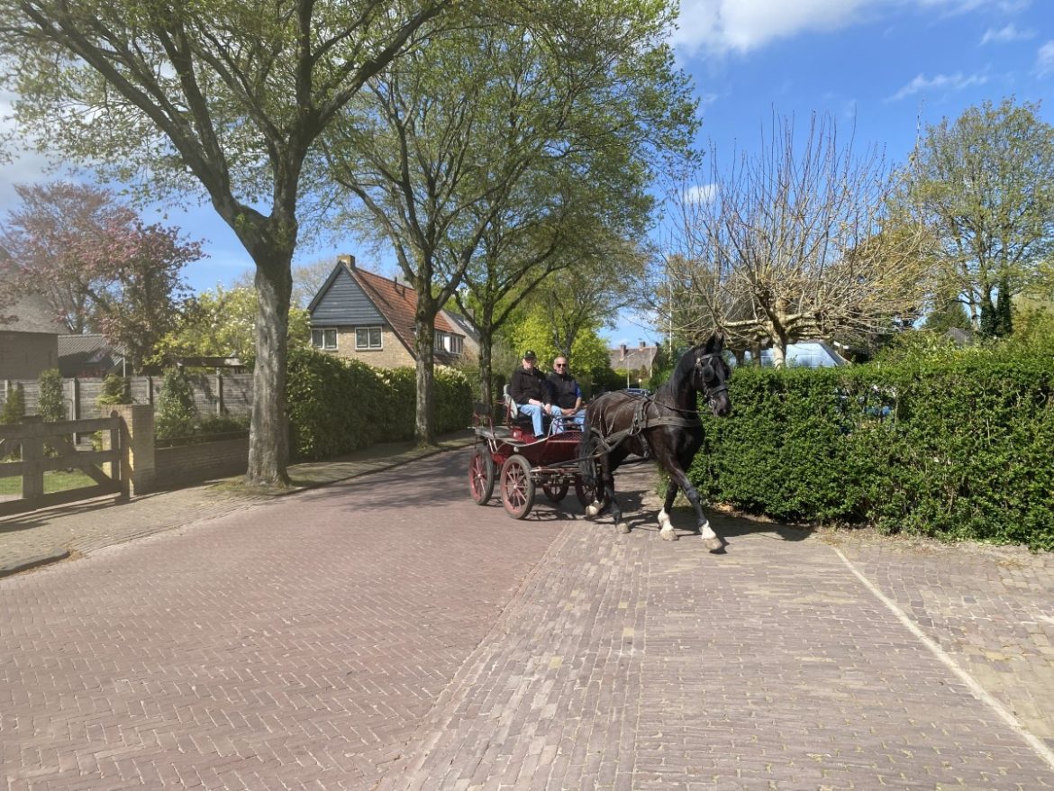 Vrijdag: 1303x bekeken + Top 10 meest gelezen berichten