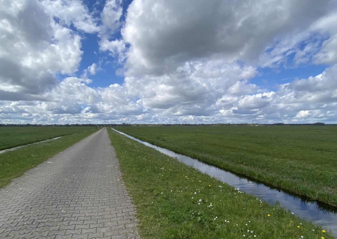 Zondag: 2523 x bekeken +Top 10 meest gelezen berichten