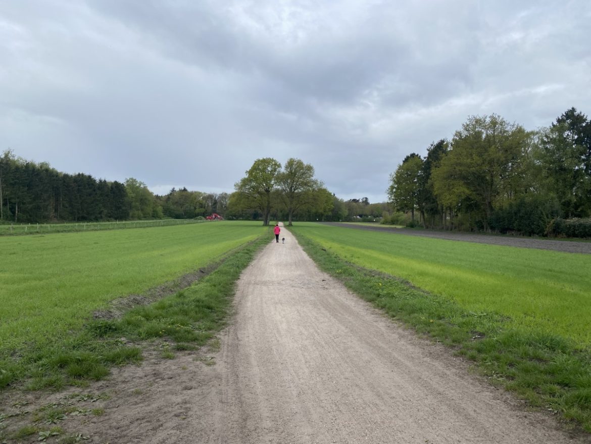 Dinsdag: 1053x bekeken +Top 10 meest gelezen berichten