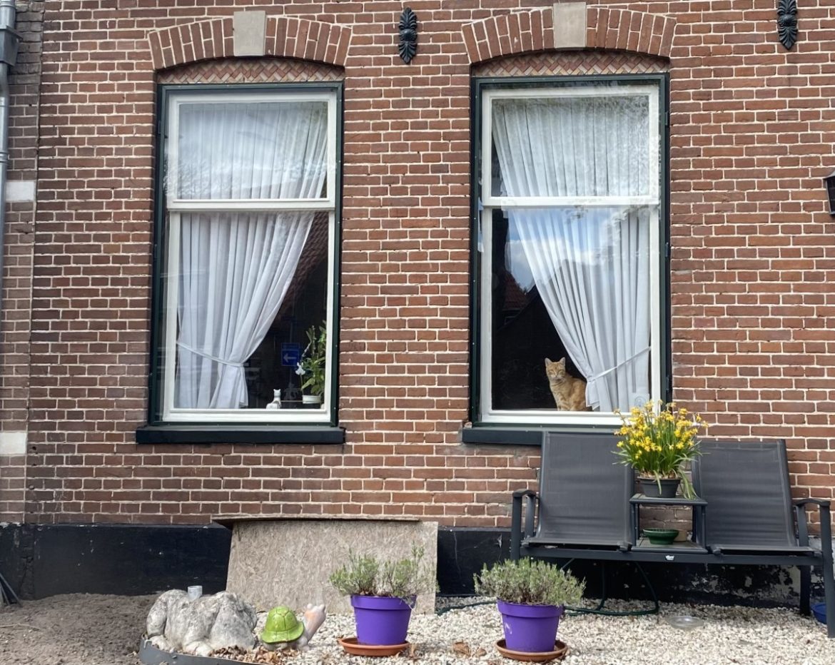 Woensdag: 1447x bekeken +Top 10 meest gelezen berichten