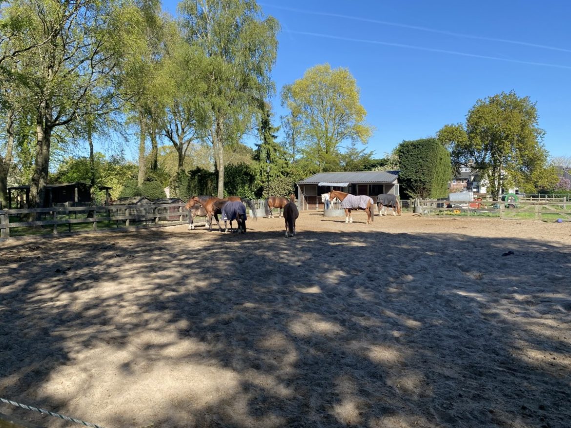 Donderdag: 1403x bekeken +Top 10 meest gelezen berichten