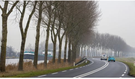 Provincie verwijdert zieke en dode bomen langs provinciale wegen