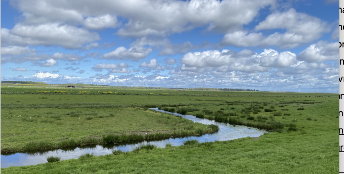 Geef voor Moederdag een stukje natuur!