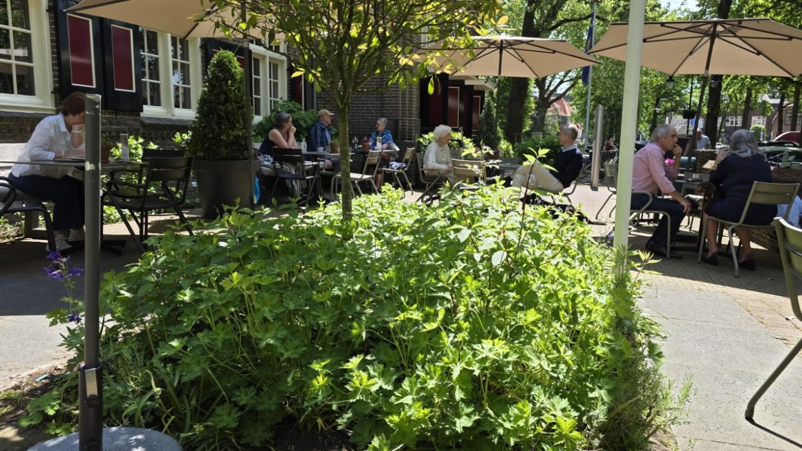Dinsdag: 2521x bekeken +Top 10 meest gelezen berichten