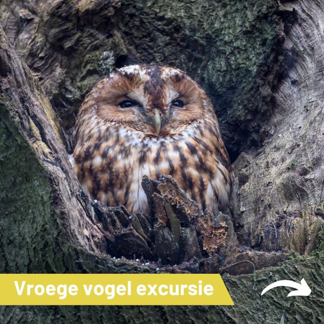 Vroeg uit de veren…