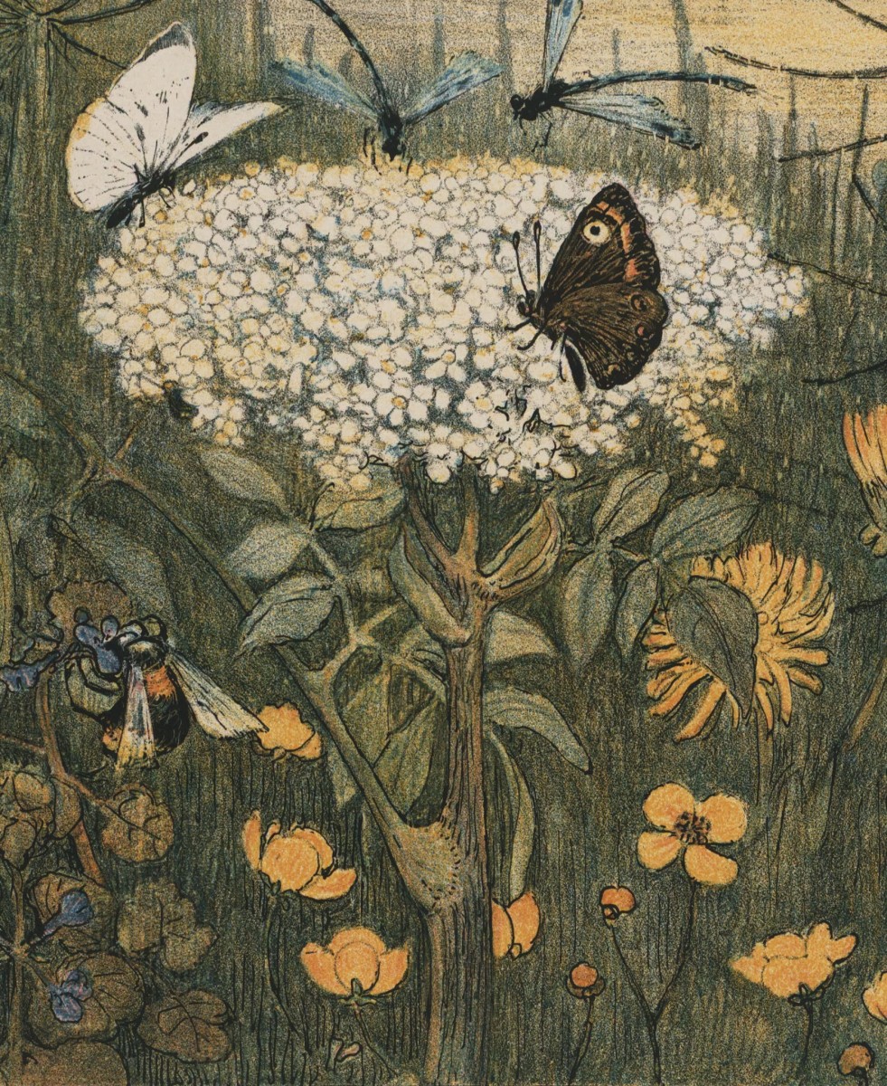 Vandaag Internationale Dag van de Biodiversiteit!