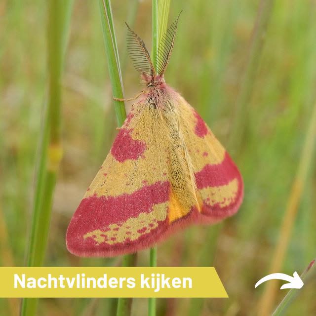 Vanavond komt een verborgen wereld tot leven bij GNR