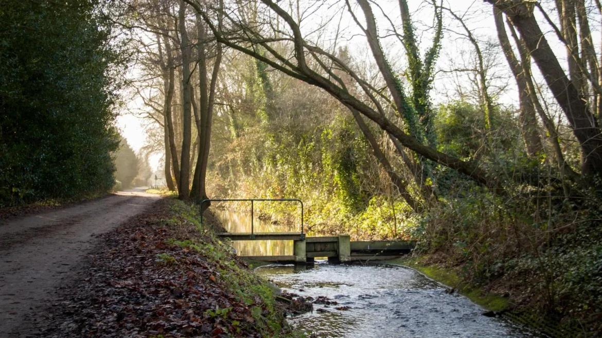 Ontwerp watergebiedsplan Gooiergracht: minder wateroverlast en betere waterkwaliteit