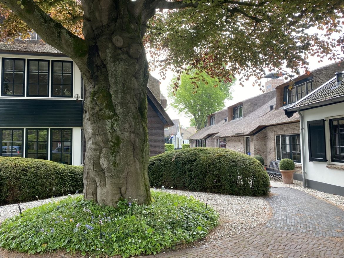 Donderdag:1778x bekeken + Top 10 meest gelezen berichten