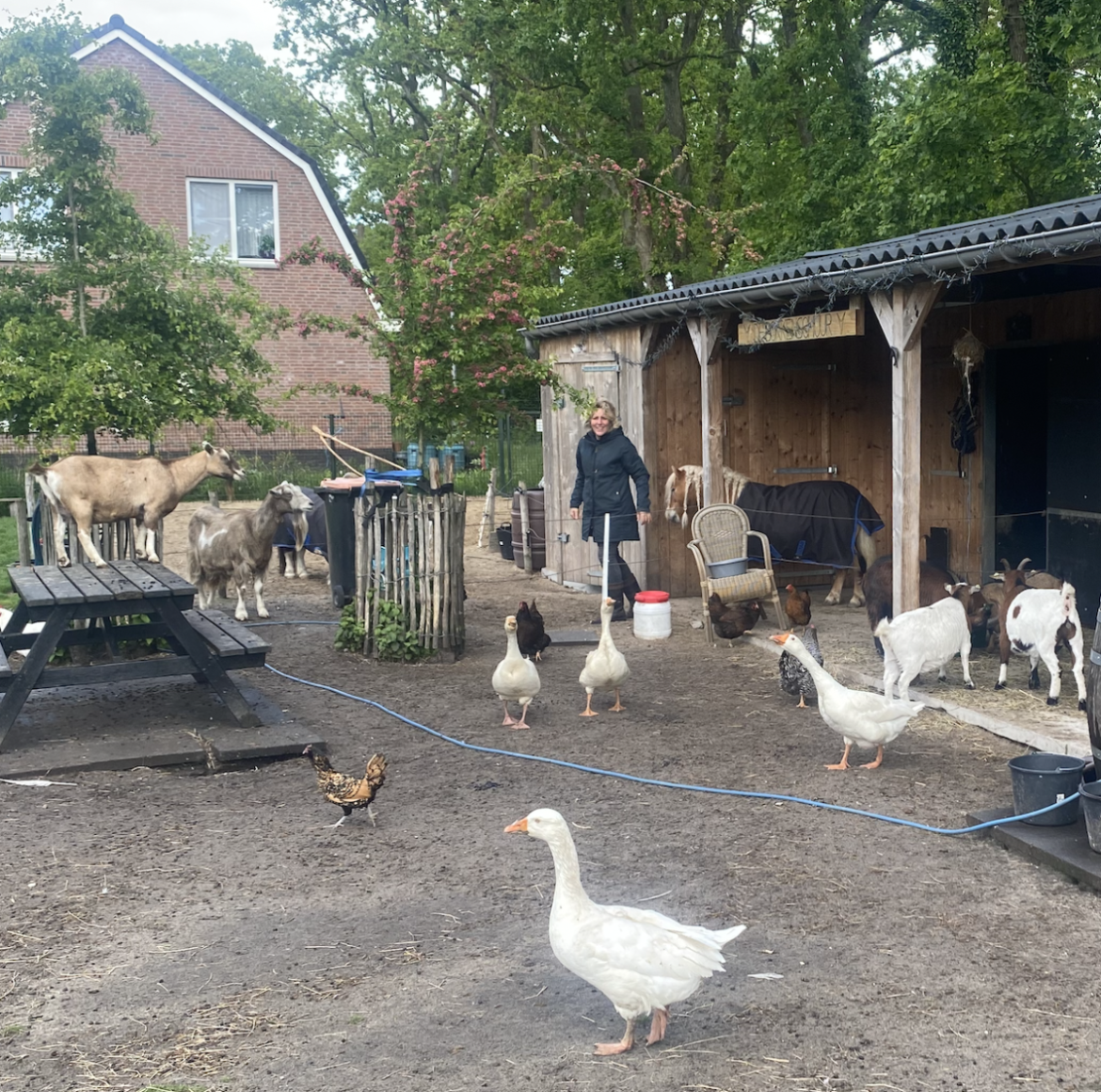 Zondag: 1401x bekeken +Top 10 meest gelezen berichten
