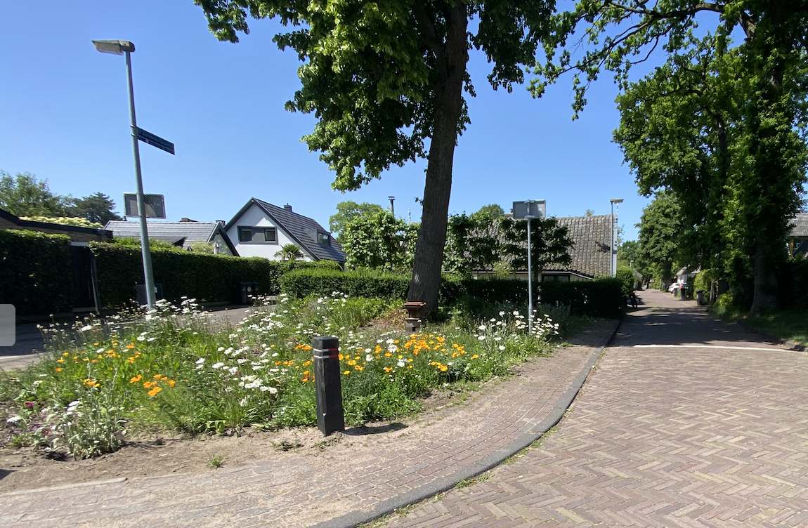 Woensdag: 3661x bekeken + Top 10 meest gelezen berichten