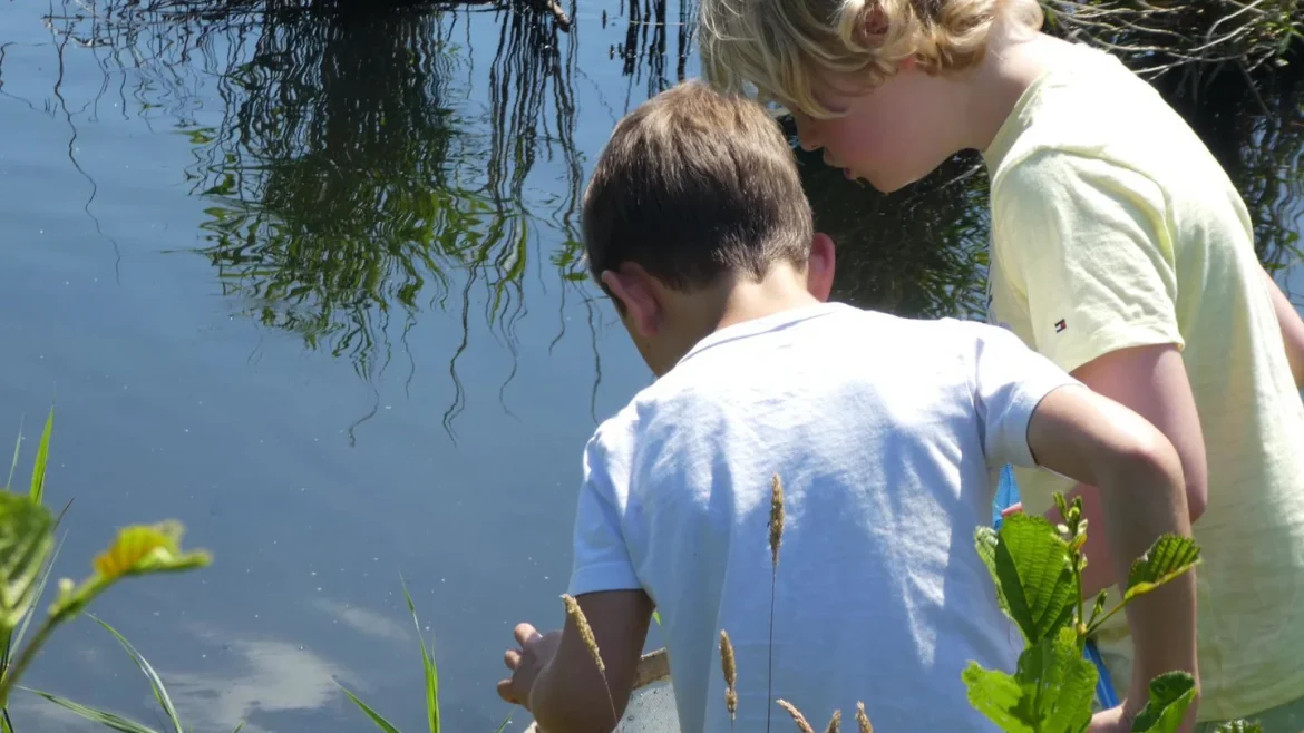 Kinderen ontdekken waterwereld tijdens Slootjesdag in Cruysbergen