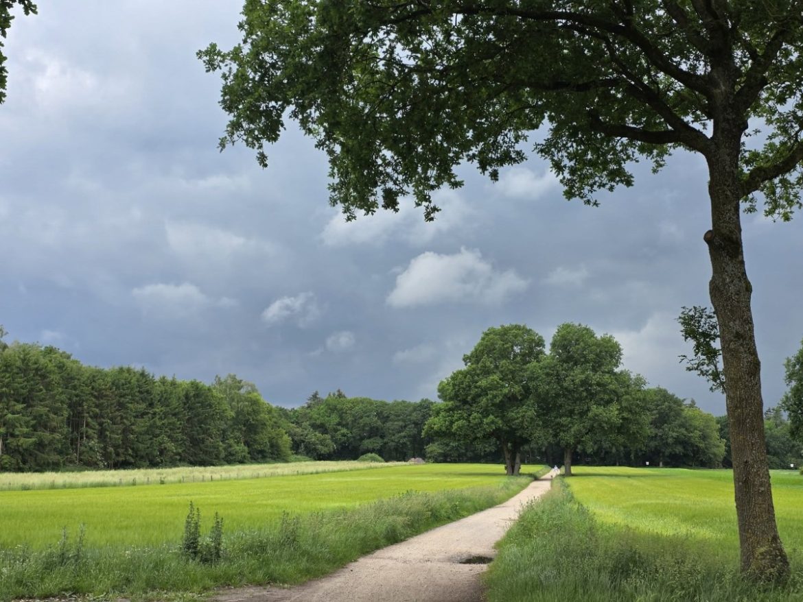 Dreigende zomerlucht in Laren
