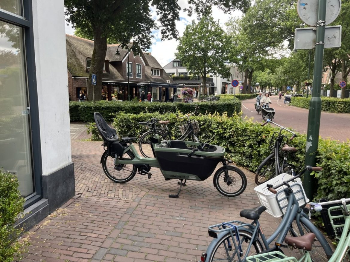 Toegankelijk Laren…