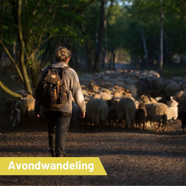Avondwandeling