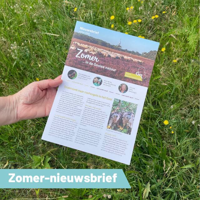 Het is zomer…
