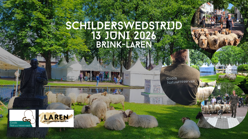 Schapen schilderen op de Brink