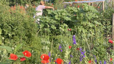 Zaterdag:2776x bekeken + Top 10 meest gelezen berichten