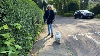 Een fijne buurt voor mens én hond