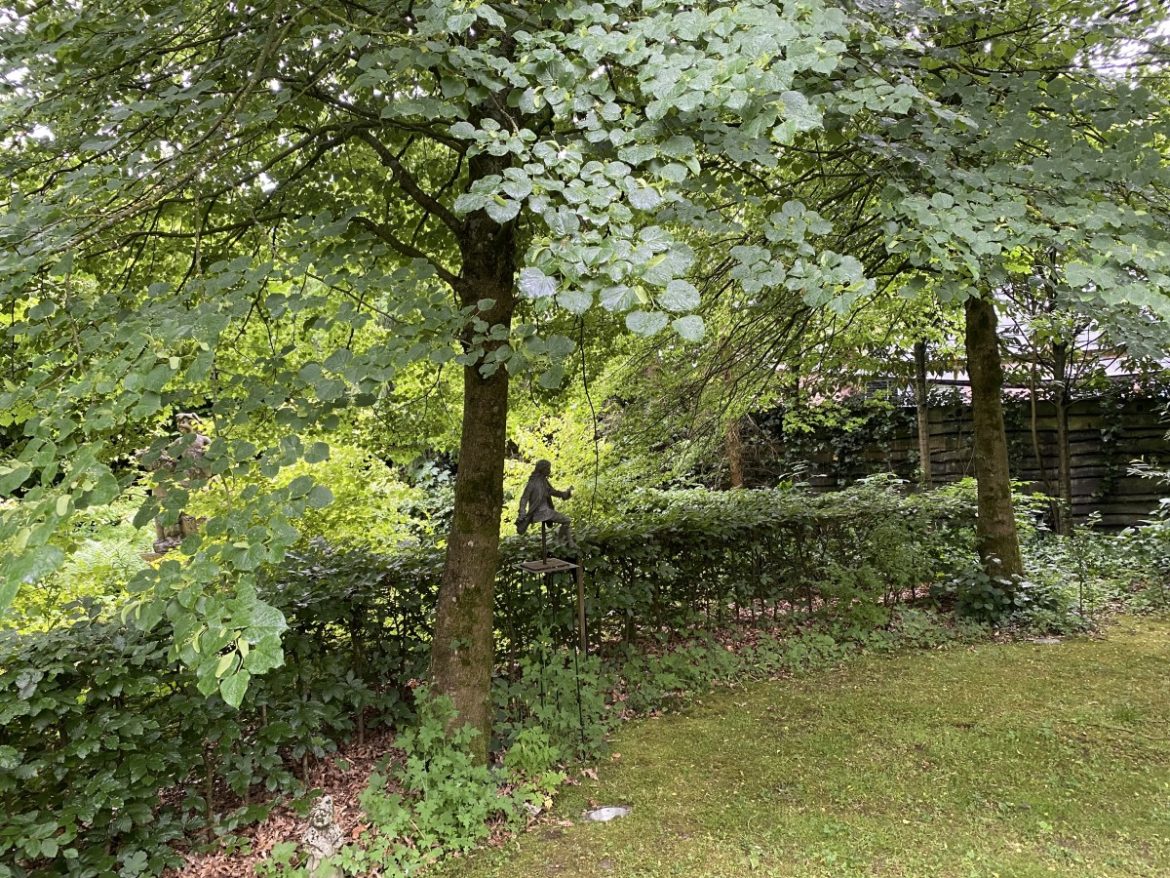 Ons dorp heeft relatief groene en dus koele tuinen