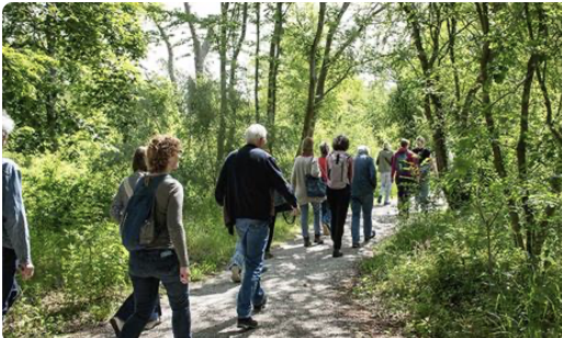 roene vrijwilligers ontmoeten elkaar tijdens de Vrijwillig Groen Dag 2026