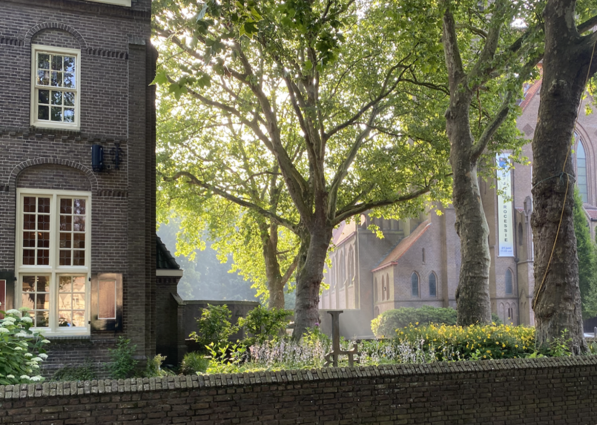 Donderdag:2253x bekeken + Top 10 meest gelezen berichten