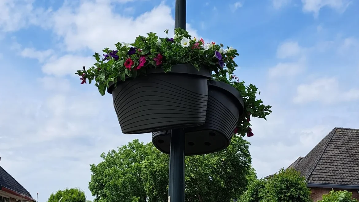 Bloemenmanden zorgen opnieuw voor kleur in de BEL-gemeenten