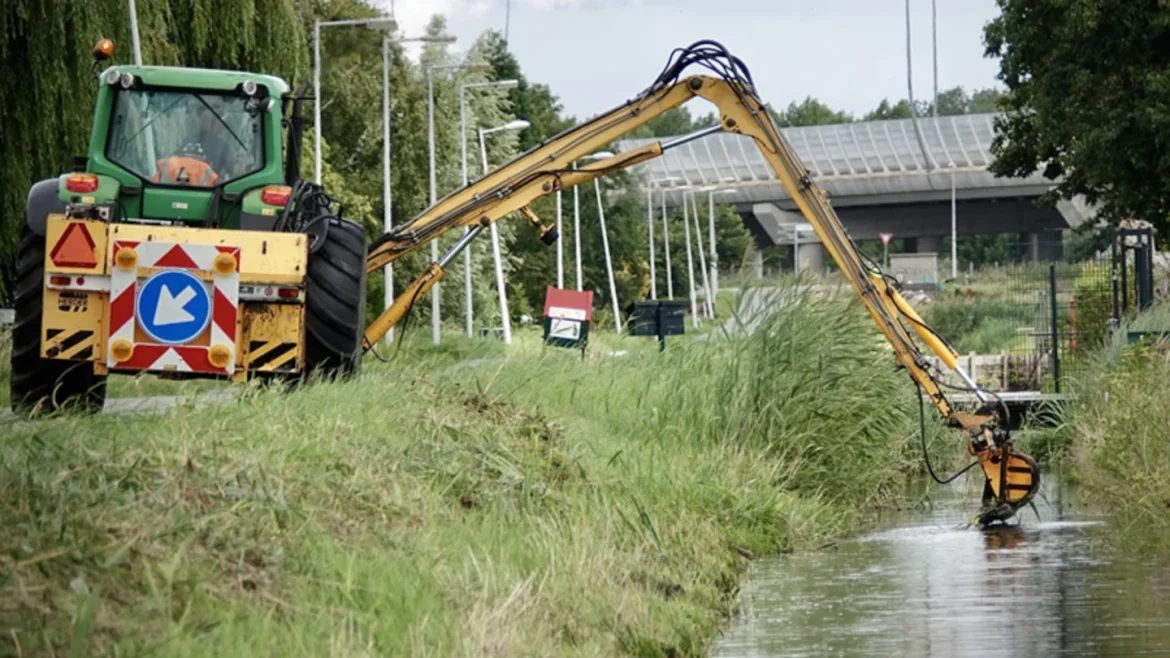Bijna elke sloot heeft een snor: waterschap maait sloten met oog voor natuur