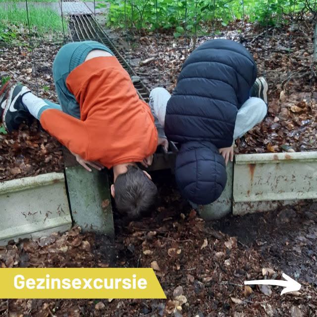 Gezinsexcursie ‘Paddenpad’