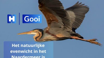 Natuur Naardermeer uit balans, beheerders gaan uitzoeken waarom