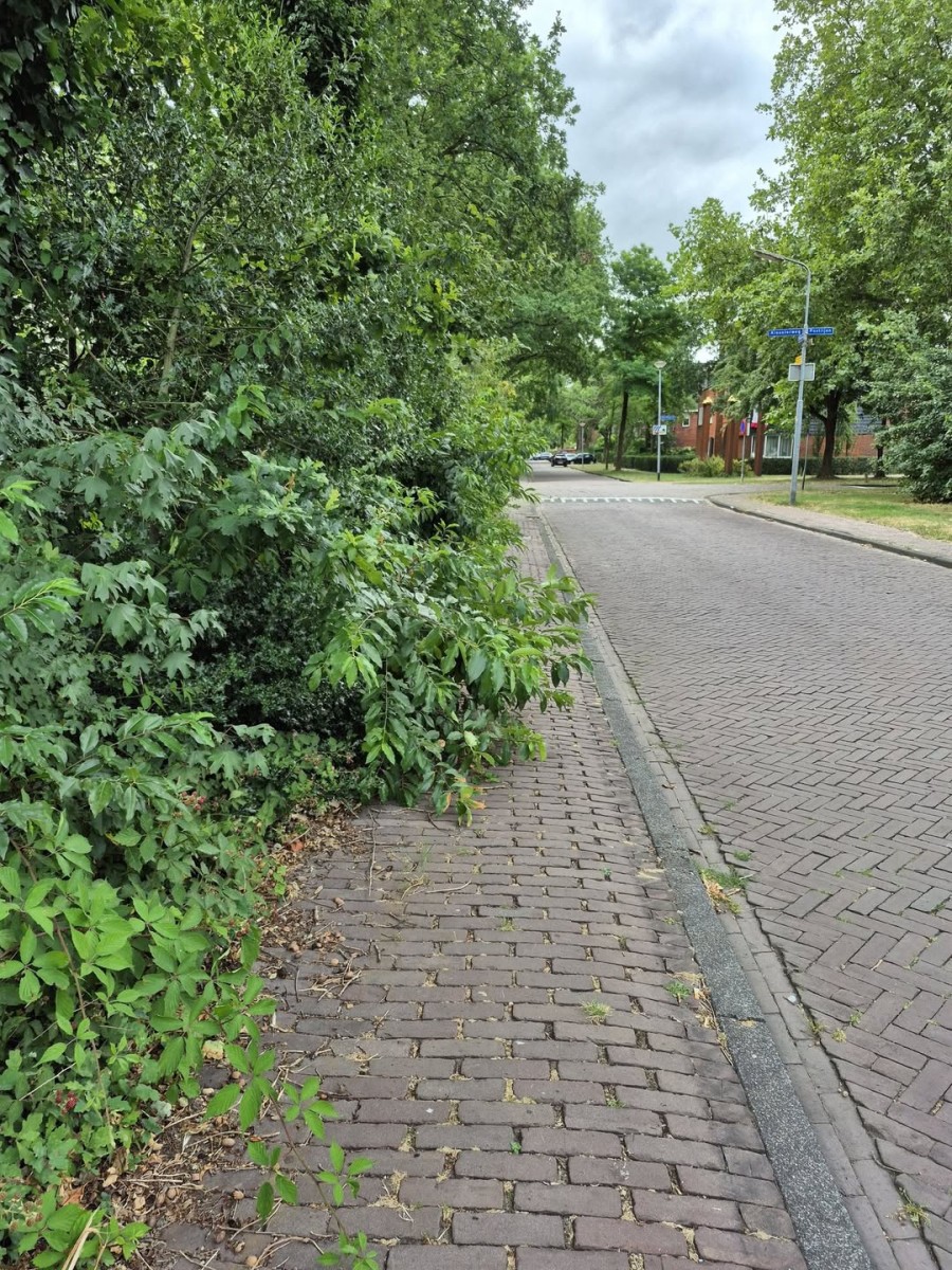 Een kritische noot!