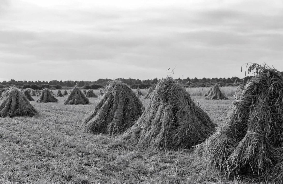 De Laarder Eng 1952…