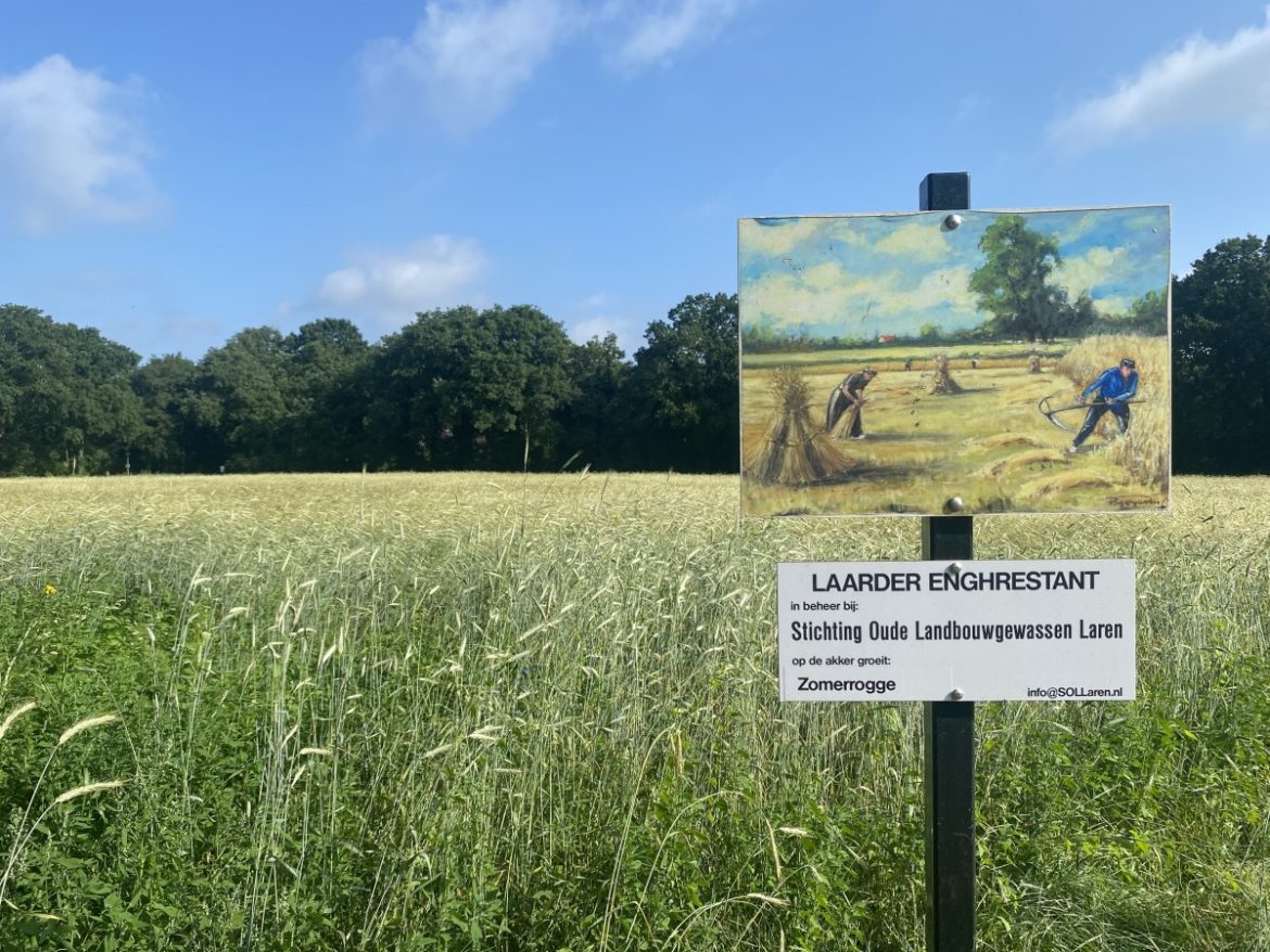 Wat verandert er per 1 juli