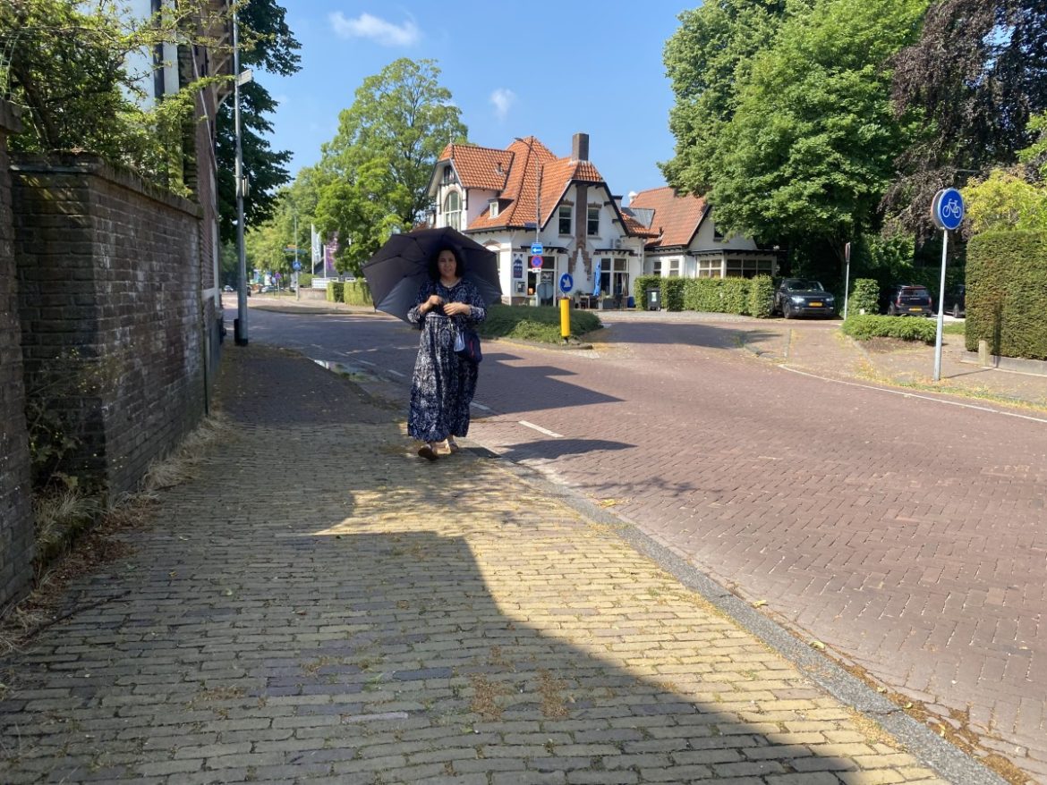 Zomerweer keert terug: Nederland geniet van droge, zonnige dagen