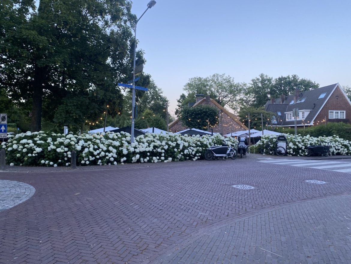 Woensdag 2036x bekeken + Top 10 meest gelezen berichten