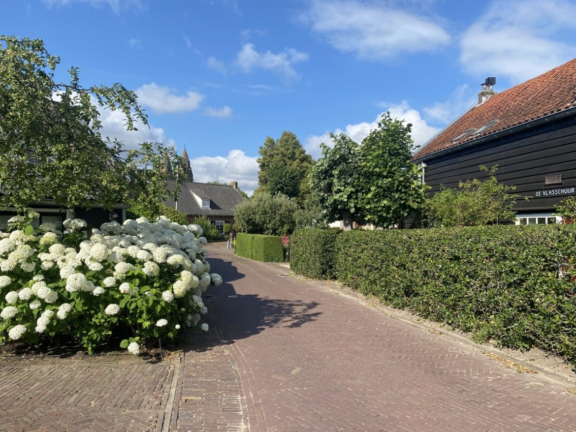 Vrijdag: 2661x bekeken + Top 10 meest gelezen berichten