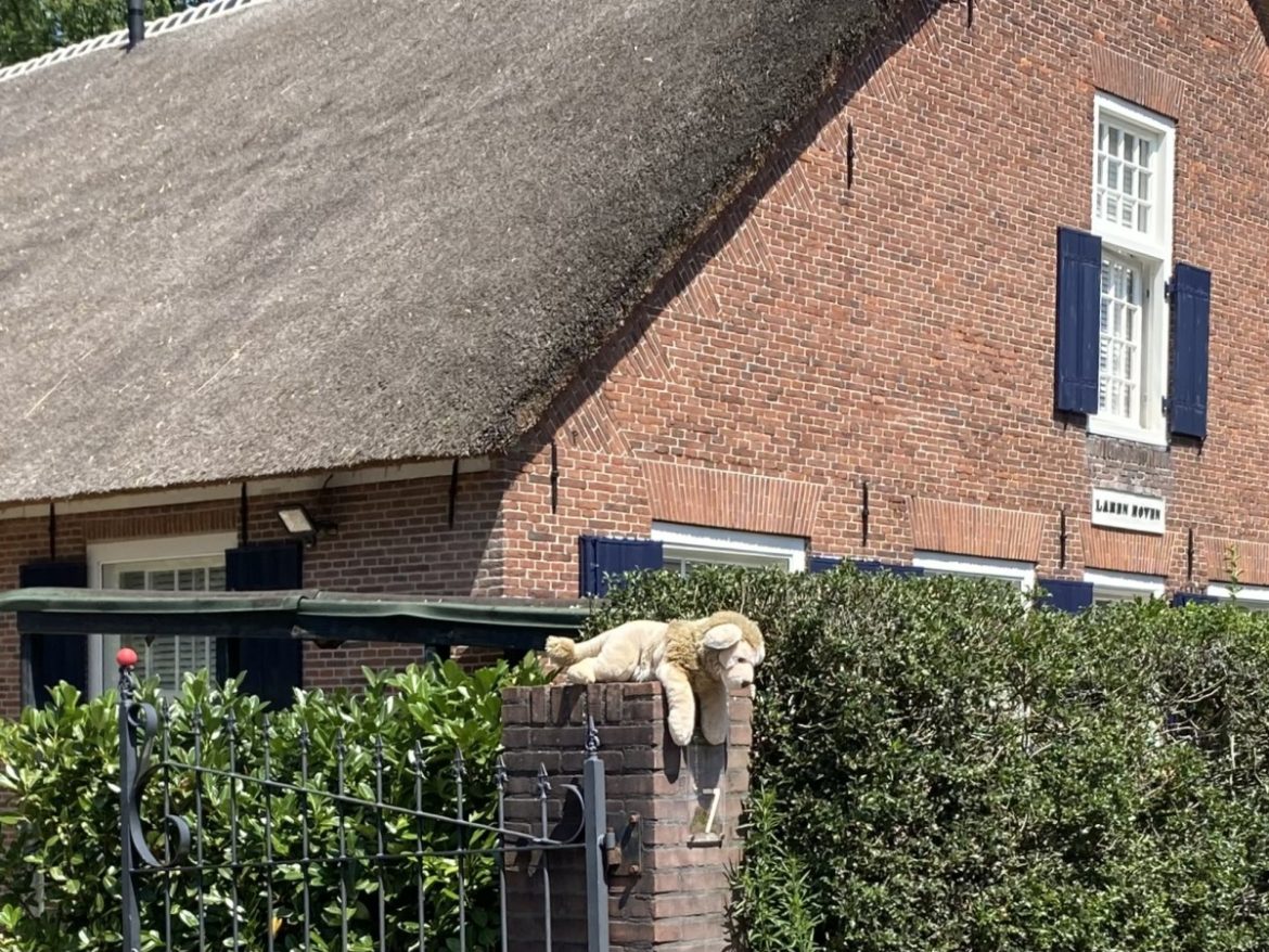 Welke peuter heeft haar knuffel verloren?