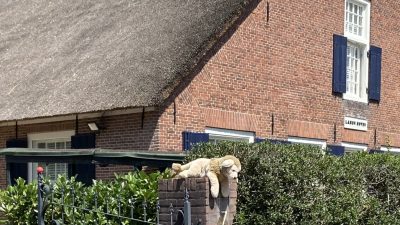 Welke peuter heeft haar knuffel verloren?