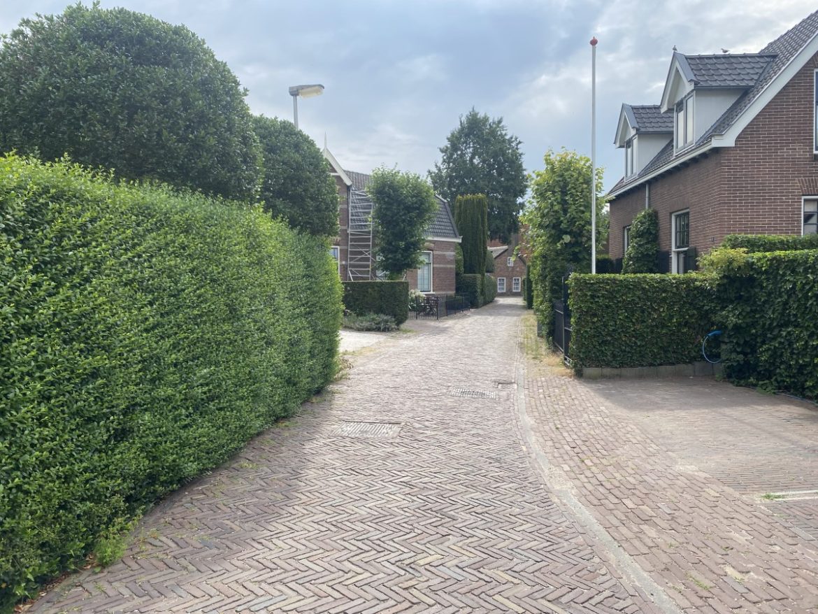 Donderdag:2286x bekeken +Top 10 meest gelezen berichten