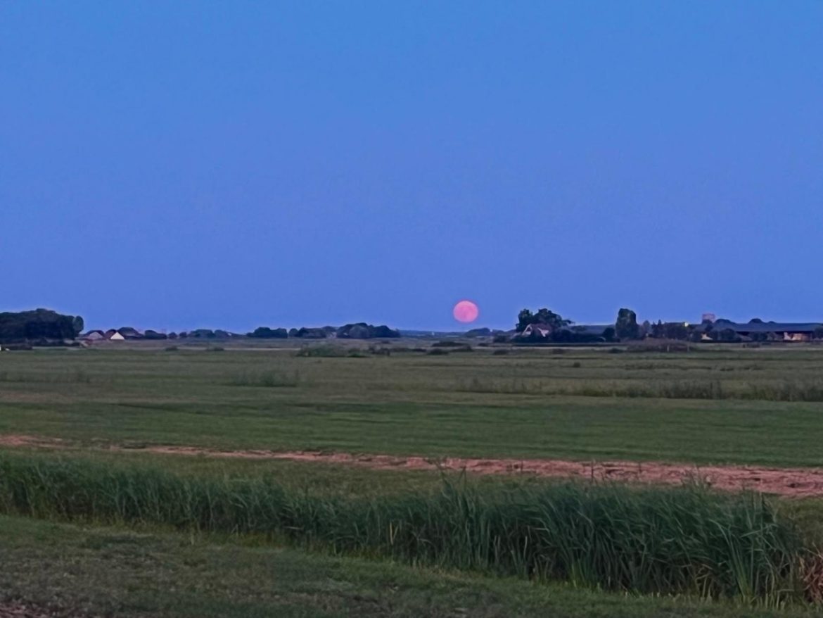 Een zwoele zomeravond…