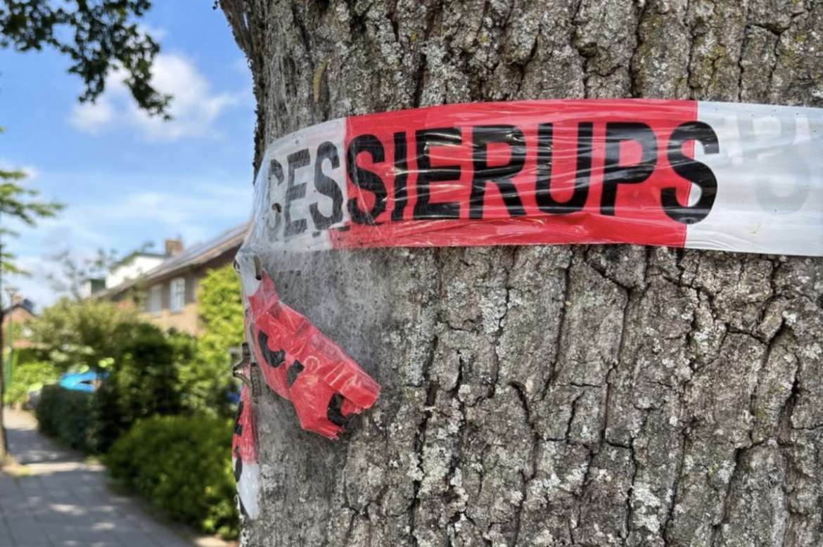 Eikenprocessierups gespot? Let op!