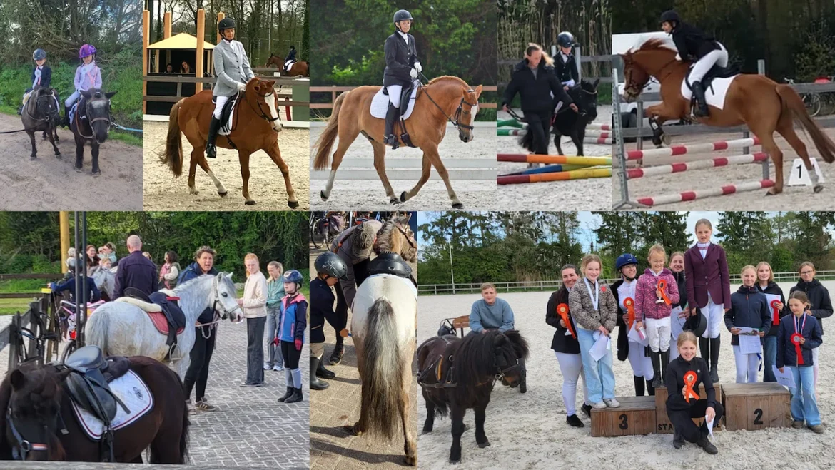 Van ringsteken tot dressuur: Blaricum bruist van paardensport deze zomer