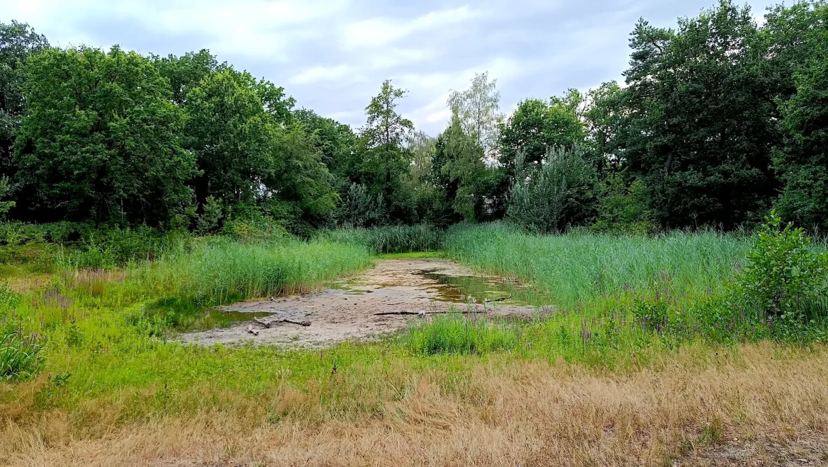 Puur natuur…