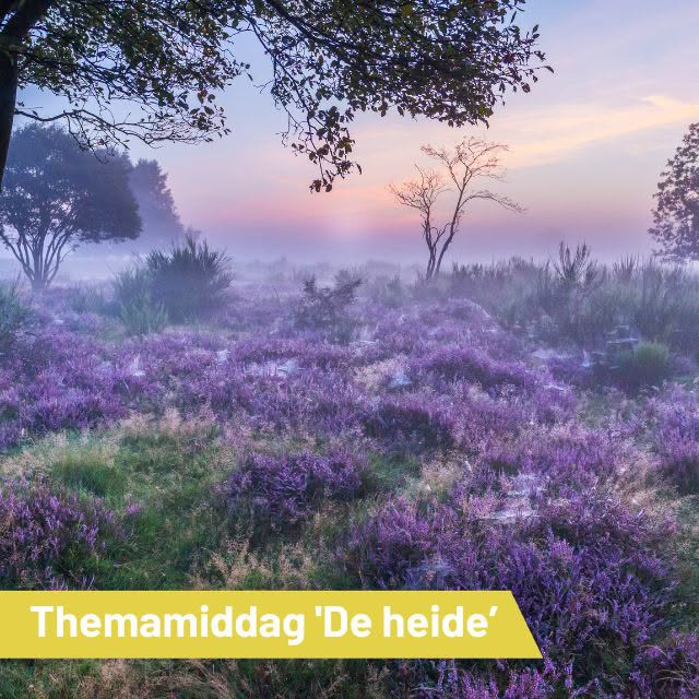 Elke laatste zondag van de maand is er een speciale themamiddag bij de schaapskooi in Blaricum.