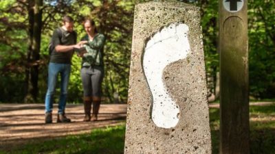 Geniet al wandelend van de prachtige bossen en heides in het Goois Natuurreservaat!