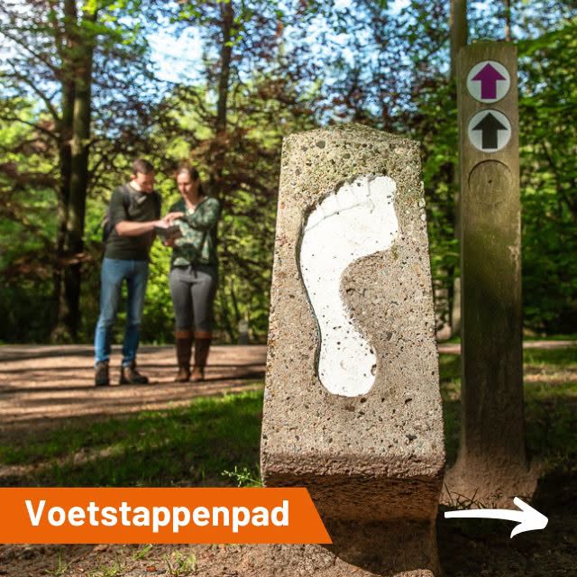 Geniet al wandelend van de prachtige bossen en heides in het Goois Natuurreservaat!