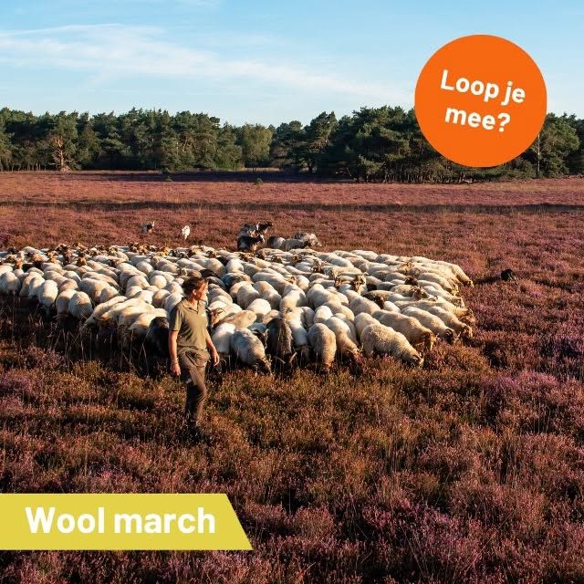 Loop je maandag mee?