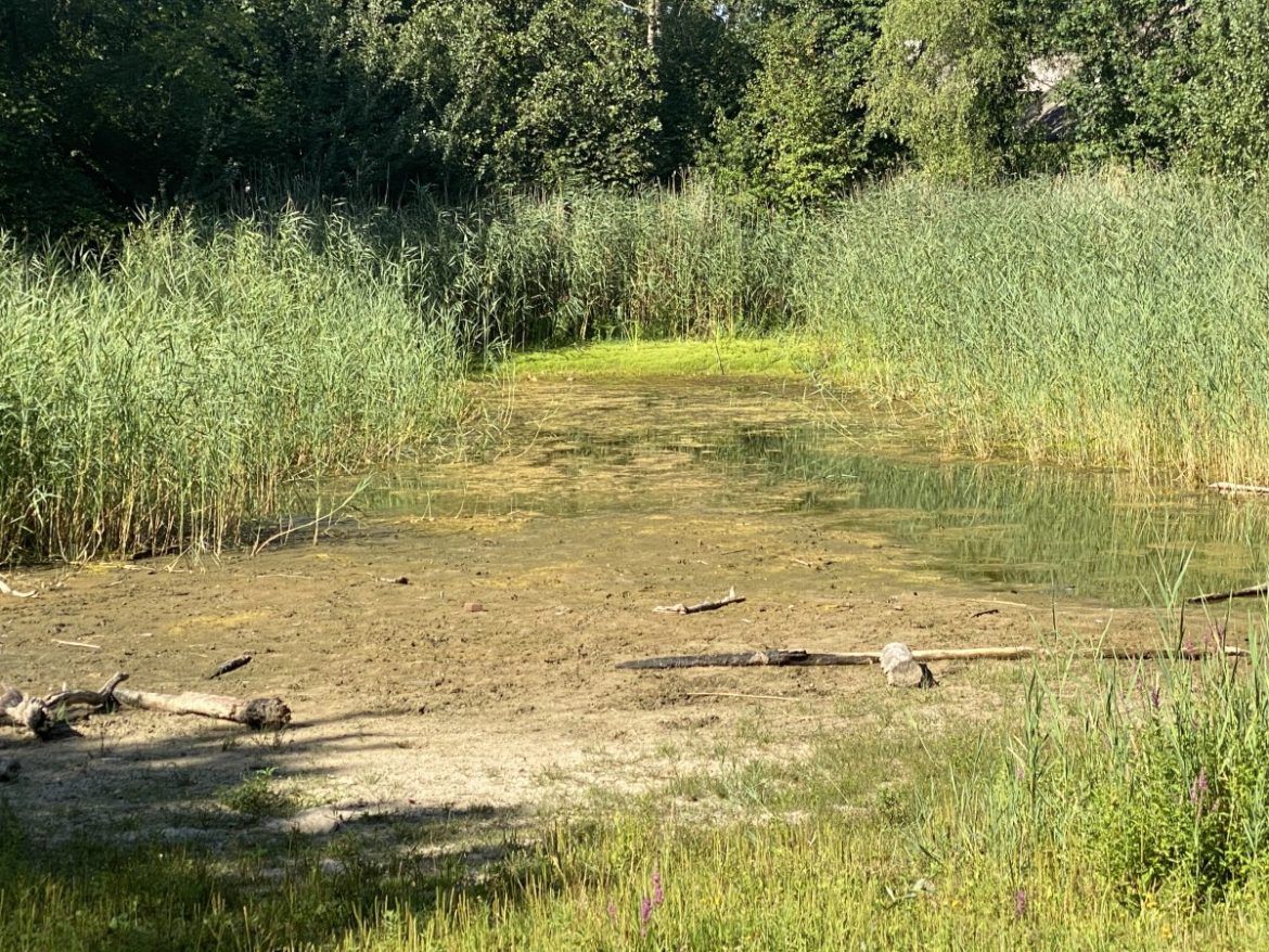 Zo droog is de natuur in Gooi, Vechtstreek en Eemland