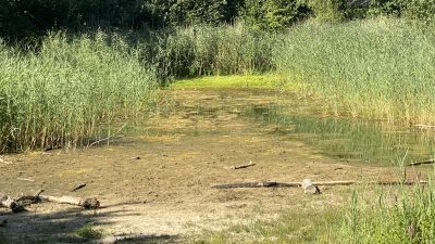 Zo droog is de natuur in Gooi, Vechtstreek en Eemland